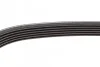 Ремень приводной поликлиновый Dayco DAYCO 6PK1195 (фото 3)