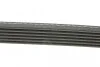 Ремінь приводний полікліновий Dayco DAYCO 6PK1215 (фото 2)
