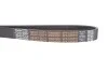 Ремінь генератора DAYCO 6PK1250HD (фото 4)