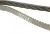 Ремень приводной поликлиновый DAYCO 6PK1270 (фото 3)