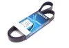 Ремень приводной поликлиновый Dayco DAYCO 6PK1285 (фото 1)
