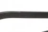 Ремень приводной поликлиновый Dayco DAYCO 6PK1335 (фото 3)