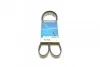 Ремень приводной поликлиновый Dayco DAYCO 6PK1345 (фото 1)