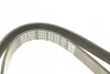 Ремень приводной поликлиновый Dayco DAYCO 6PK1345 (фото 4)