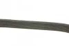 Ремень приводной поликлиновый Dayco DAYCO 6PK1352 (фото 2)