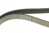 Ремень приводной поликлиновый Dayco DAYCO 6PK1352 (фото 3)