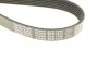 Ремень приводной поликлиновый Dayco DAYCO 6PK1352 (фото 4)