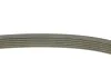 Ремень приводной поликлиновый Dayco DAYCO 6PK1360S (фото 2)