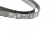 Ремень приводной поликлиновый Dayco DAYCO 6PK1372 (фото 2)