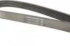 Ремень приводной поликлиновый Dayco DAYCO 6PK1372 (фото 3)