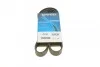Ремень приводной поликлиновый Dayco DAYCO 6PK1381 (фото 1)