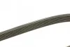 Ремень приводной поликлиновый Dayco DAYCO 6PK1381 (фото 2)