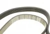 Ремень приводной поликлиновый Dayco DAYCO 6PK1381 (фото 4)