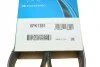 Ремень приводной поликлиновый Dayco DAYCO 6PK1381 (фото 6)