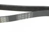 Ремінь приводний полікліновий Dayco DAYCO 6PK1400 (фото 3)