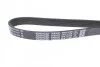 Ремень приводной поликлиновый Dayco DAYCO 6PK1410S (фото 2)