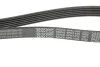 Ремінь приводний полікліновий Dayco DAYCO 6PK1435 (фото 2)