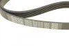 Ремінь приводний полікліновий Dayco DAYCO 6PK1510 (фото 4)