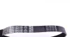 Ремень приводной поликлиновый DAYCO 6PK1550 (фото 2)