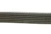 Ремень приводной поликлиновый DAYCO 6PK1558 (фото 2)