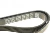 Ремень приводной поликлиновый DAYCO 6PK1558 (фото 4)