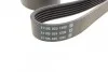 Ремень приводной поликлиновый Dayco DAYCO 6PK1590 (фото 2)