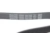 Ремінь приводний полікліновий Dayco DAYCO 6PK1606 (фото 4)