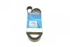 Ремень приводной поликлиновый 6PK1613 Dayco