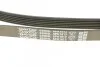 Ремінь приводний полікліновий DAYCO 6PK1613 (фото 4)