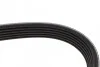 Ремень приводной поликлиновый Dayco DAYCO 6PK1635 (фото 2)