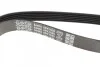 Ремень приводной поликлиновый Dayco DAYCO 6PK1635 (фото 3)