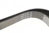 Ремень приводной поликлиновый Dayco DAYCO 6PK1635 (фото 4)