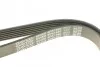 Ремень приводной поликлиновый DAYCO 6PK1660 (фото 4)
