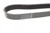 Ремень приводной поликлиновый DAYCO 6PK1744 (фото 3)