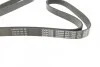 Ремень приводной поликлиновый Dayco DAYCO 6PK1750 (фото 2)