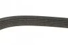 Ремень приводной поликлиновый Dayco DAYCO 6PK1750 (фото 3)