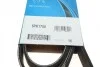 Ремень приводной поликлиновый Dayco DAYCO 6PK1750 (фото 6)