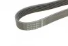 Ремінь П-клиновий Dayco DAYCO 6PK1755 (фото 3)