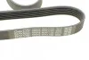 Ремінь П-клиновий Dayco DAYCO 6PK1755 (фото 4)