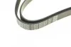 Ремень приводной поликлиновый Dayco DAYCO 6PK1815 (фото 4)