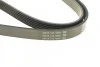 Ремень приводной поликлиновый Dayco DAYCO 6PK1815 (фото 5)