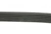 Ремень приводной поликлиновый Dayco DAYCO 6PK1815 (фото 6)