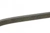 Ремень приводной поликлиновый Dayco DAYCO 6PK1820 (фото 2)