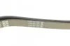 Ремень приводной поликлиновый Dayco DAYCO 6PK1820 (фото 4)