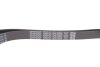 Ремінь генератора поліклиновий DAYCO 6PK1852K (фото 4)