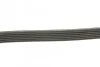 Ремень приводной поликлиновый Dayco DAYCO 6PK1900 (фото 2)