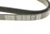 Ремень приводной поликлиновый Dayco DAYCO 6PK1900 (фото 4)
