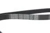 Ремень приводной поликлиновый DAYCO 6PK2063 (фото 4)
