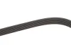 Ремень приводной поликлиновый Dayco DAYCO 6PK2120 (фото 3)