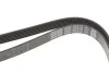 Ремень приводной поликлиновый Dayco DAYCO 6PK2120 (фото 4)